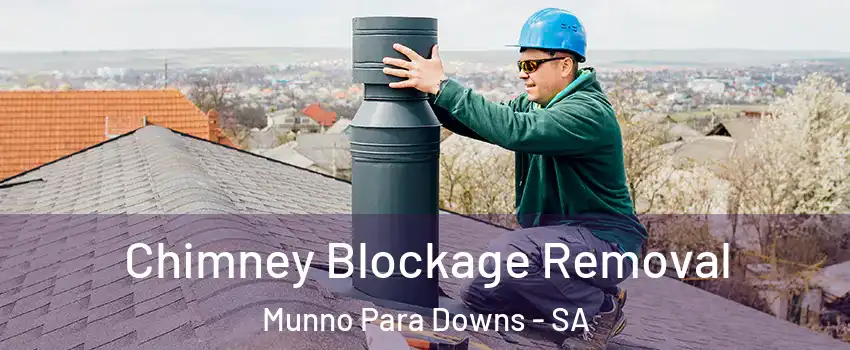  Chimney Blockage Removal Munno Para Downs - SA