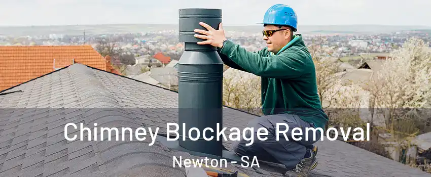  Chimney Blockage Removal Newton - SA