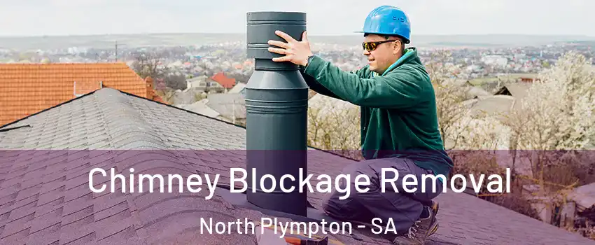  Chimney Blockage Removal North Plympton - SA