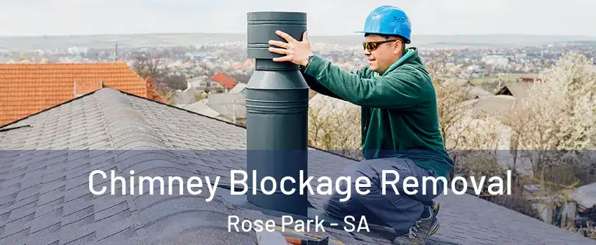  Chimney Blockage Removal Rose Park - SA