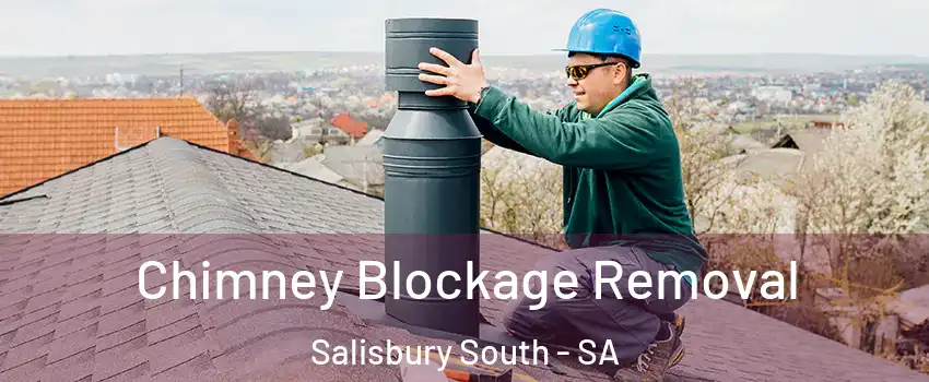 Chimney Blockage Removal Salisbury South - SA