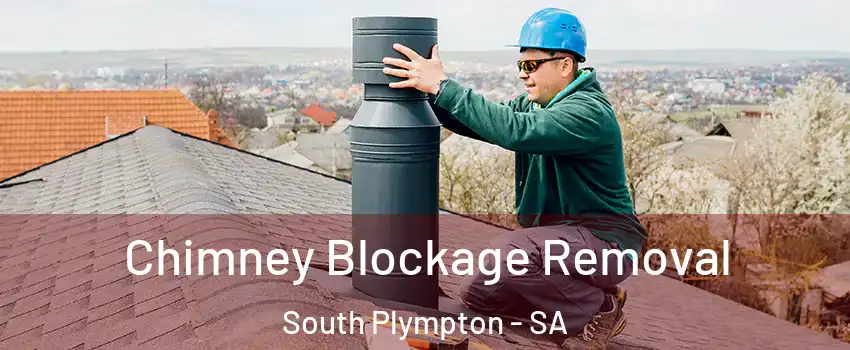  Chimney Blockage Removal South Plympton - SA