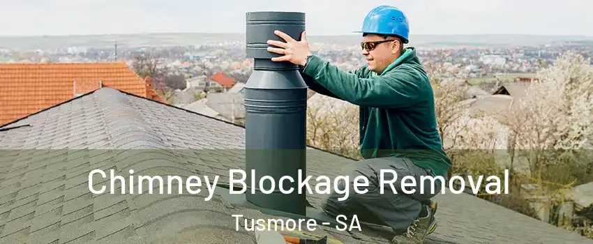  Chimney Blockage Removal Tusmore - SA