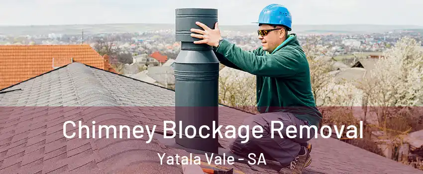 Chimney Blockage Removal Yatala Vale - SA