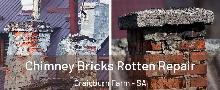 Chimney Bricks Rotten Repair Craigburn Farm - SA
