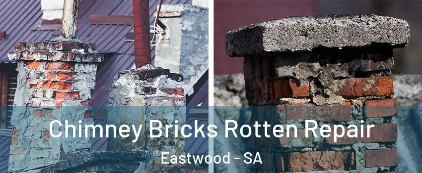 Chimney Bricks Rotten Repair Eastwood - SA