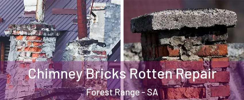 Chimney Bricks Rotten Repair Forest Range - SA