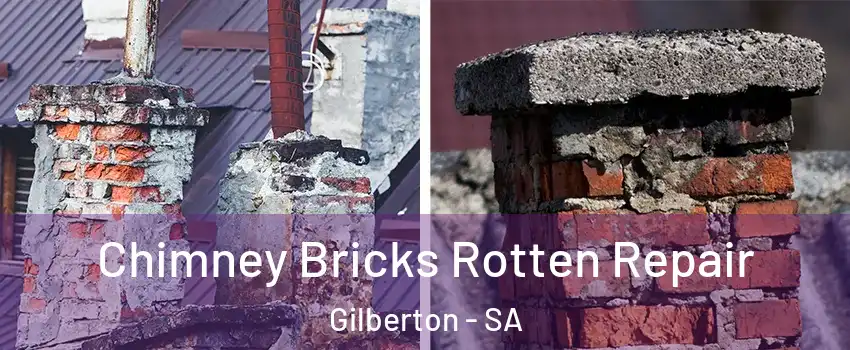 Chimney Bricks Rotten Repair Gilberton - SA