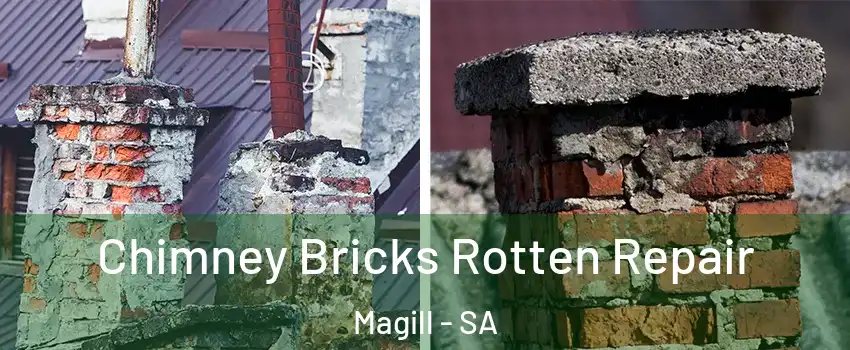  Chimney Bricks Rotten Repair Magill - SA