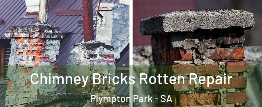 Chimney Bricks Rotten Repair Plympton Park - SA