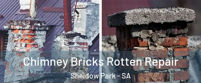  Chimney Bricks Rotten Repair Sheidow Park - SA