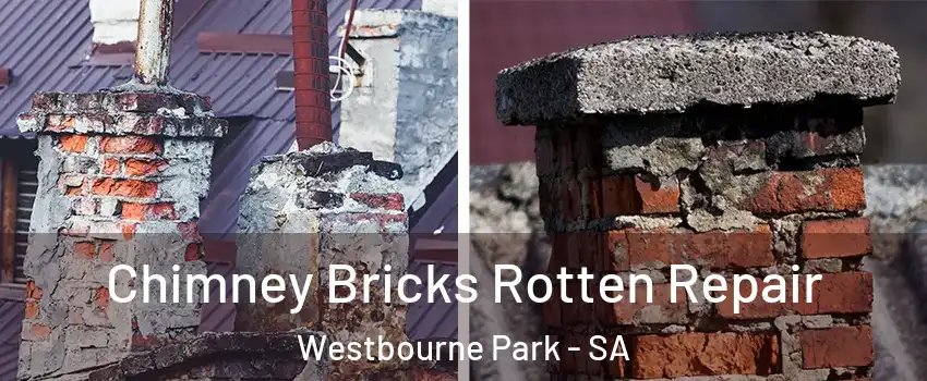  Chimney Bricks Rotten Repair Westbourne Park - SA