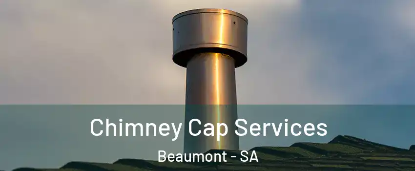 Chimney Cap Services Beaumont - SA