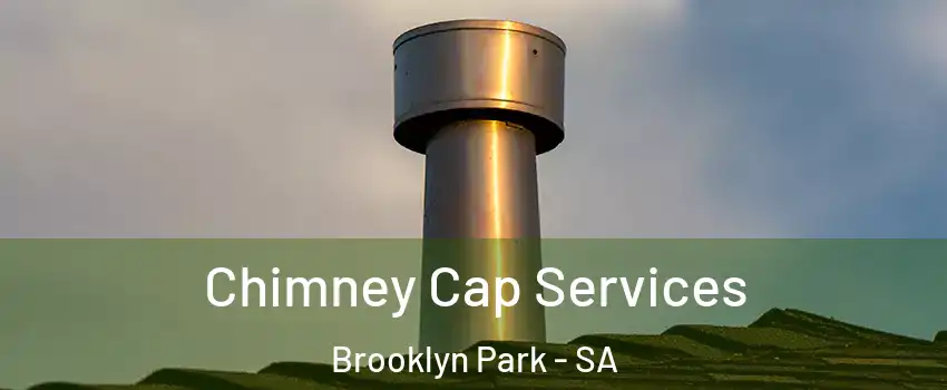 Chimney Cap Services Brooklyn Park - SA