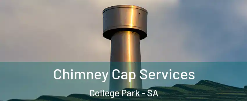 Chimney Cap Services College Park - SA