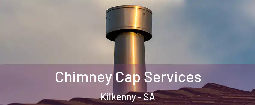  Chimney Cap Services Kilkenny - SA