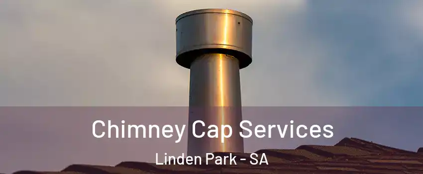 Chimney Cap Services Linden Park - SA