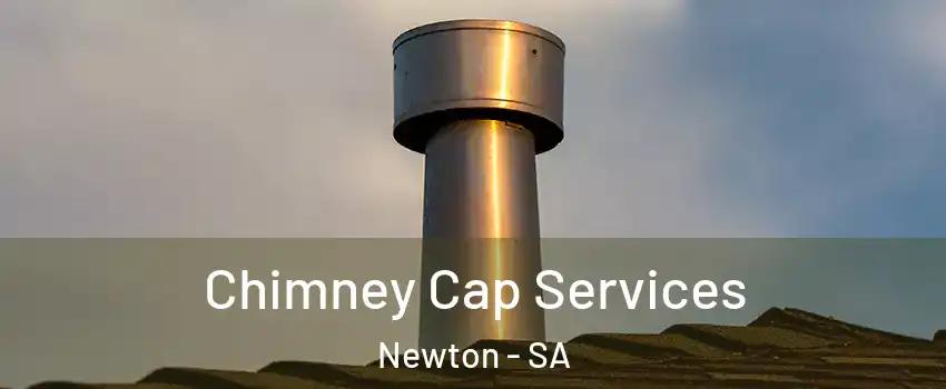  Chimney Cap Services Newton - SA
