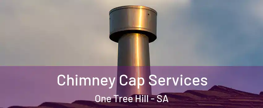  Chimney Cap Services One Tree Hill - SA