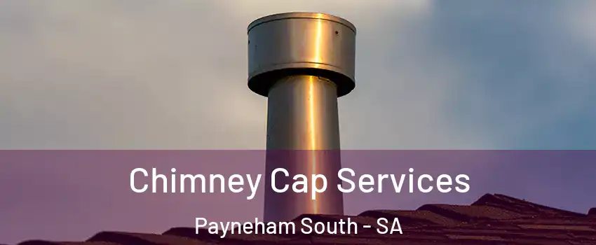  Chimney Cap Services Payneham South - SA