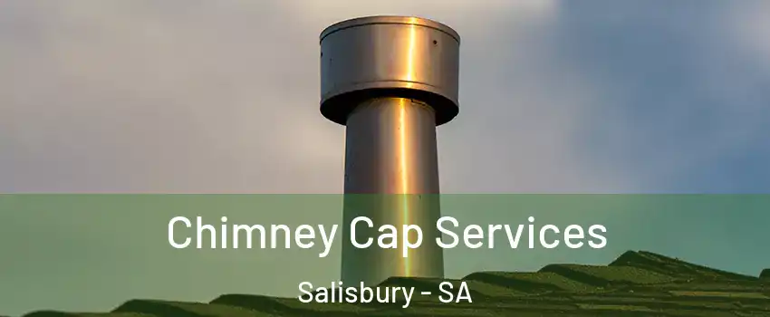  Chimney Cap Services Salisbury - SA