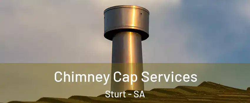  Chimney Cap Services Sturt - SA