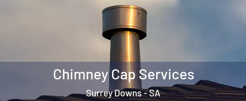  Chimney Cap Services Surrey Downs - SA