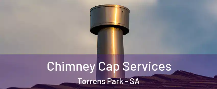  Chimney Cap Services Torrens Park - SA
