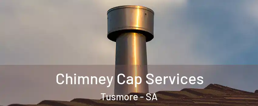  Chimney Cap Services Tusmore - SA