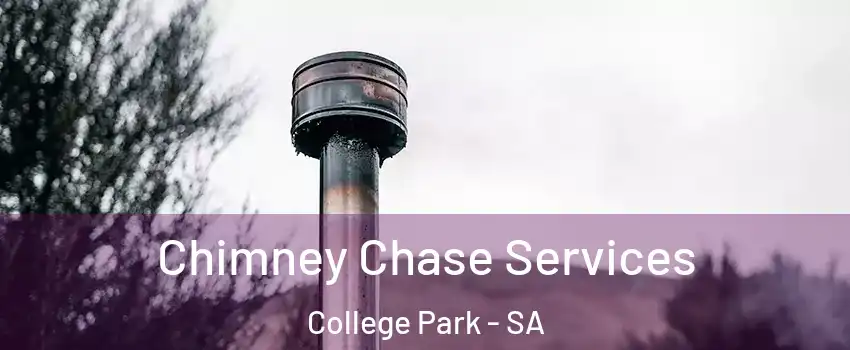 Chimney Chase Services College Park - SA