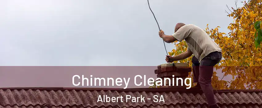  Chimney Cleaning Albert Park - SA