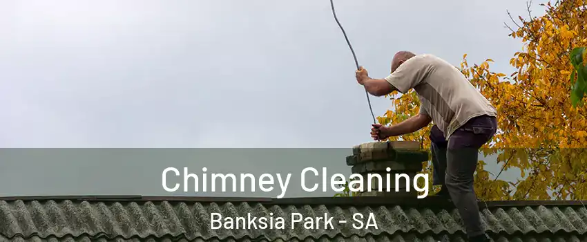 Chimney Cleaning Banksia Park - SA