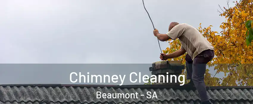 Chimney Cleaning Beaumont - SA