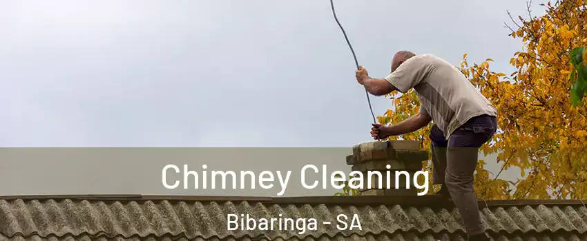 Chimney Cleaning Bibaringa - SA