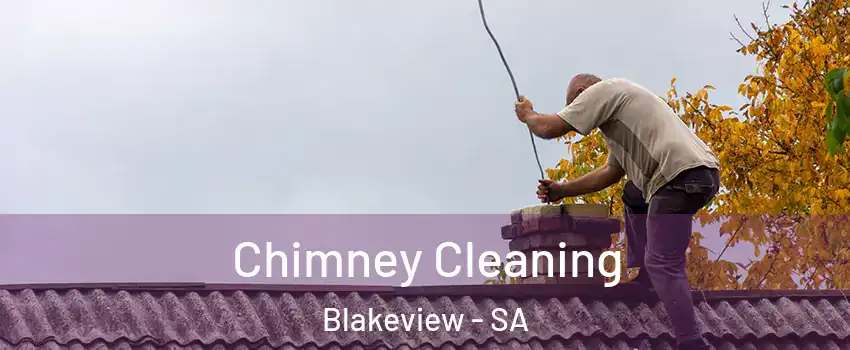 Chimney Cleaning Blakeview - SA