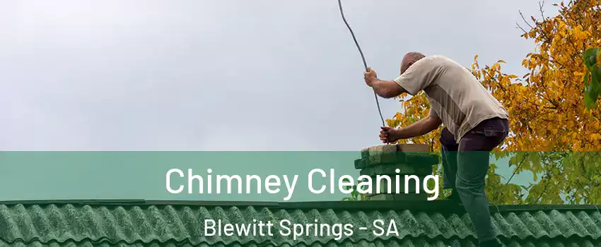 Chimney Cleaning Blewitt Springs - SA