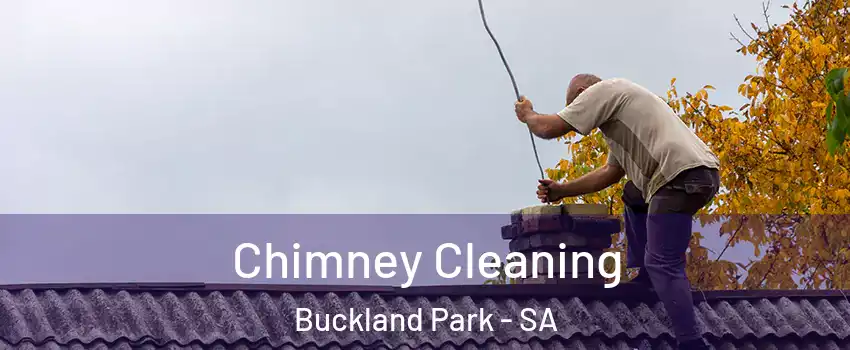 Chimney Cleaning Buckland Park - SA