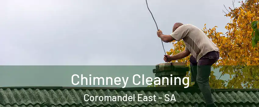 Chimney Cleaning Coromandel East - SA
