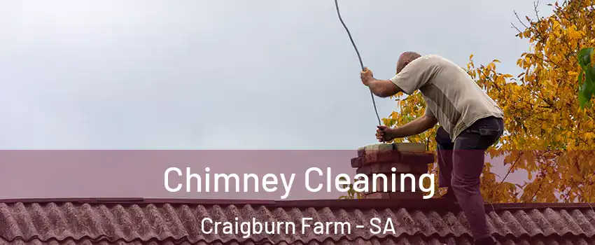 Chimney Cleaning Craigburn Farm - SA