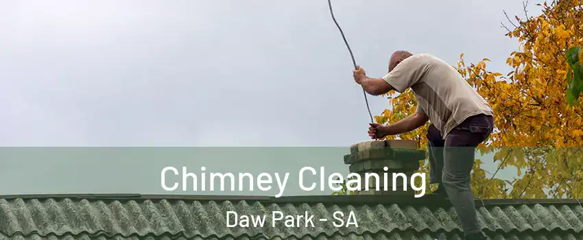 Chimney Cleaning Daw Park - SA