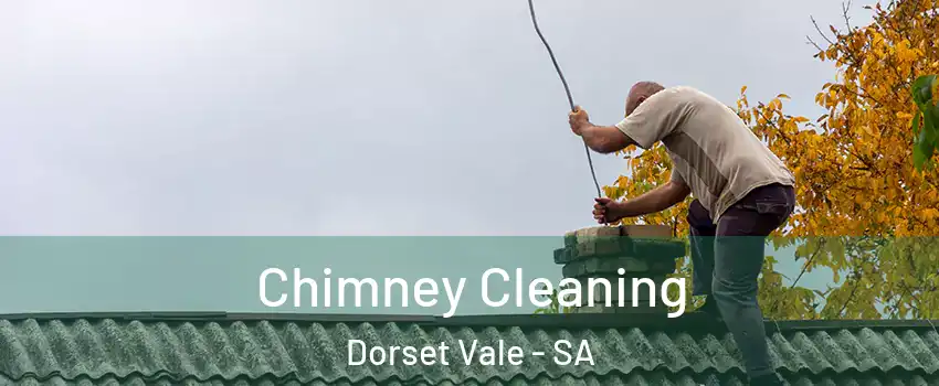 Chimney Cleaning Dorset Vale - SA