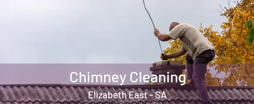 Chimney Cleaning Elizabeth East - SA