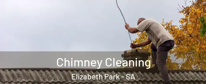 Chimney Cleaning Elizabeth Park - SA
