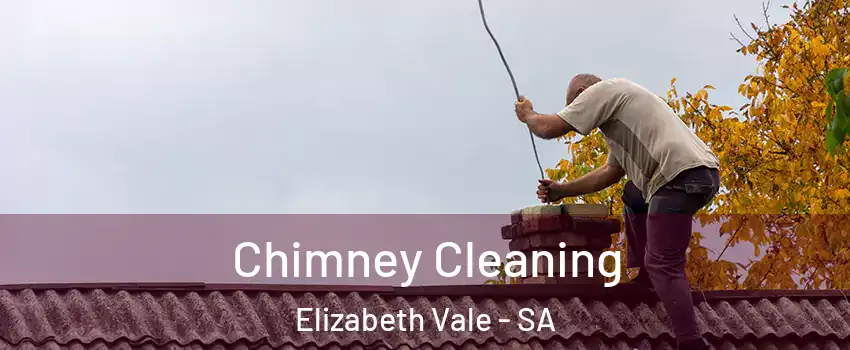 Chimney Cleaning Elizabeth Vale - SA