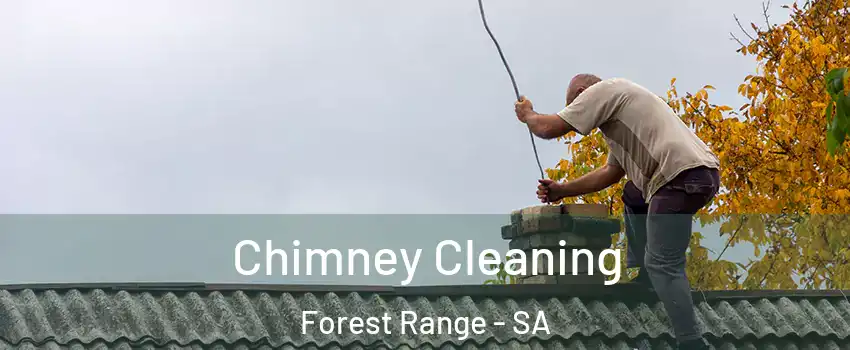 Chimney Cleaning Forest Range - SA