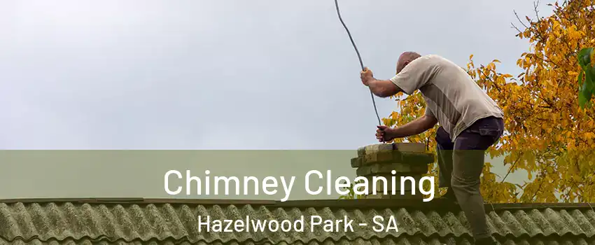 Chimney Cleaning Hazelwood Park - SA