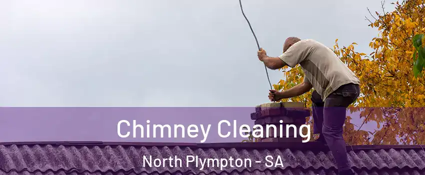  Chimney Cleaning North Plympton - SA
