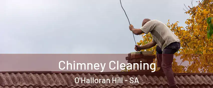  Chimney Cleaning O'Halloran Hill - SA