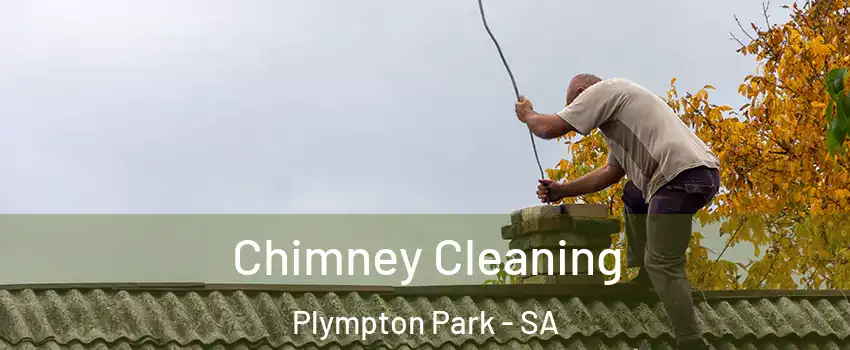  Chimney Cleaning Plympton Park - SA
