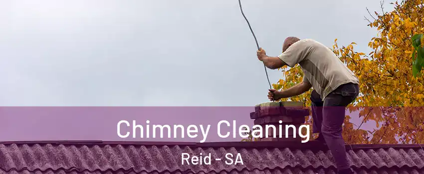  Chimney Cleaning Reid - SA